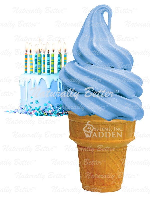 24 Flavors of Soft Serve best seller Birthday Cake